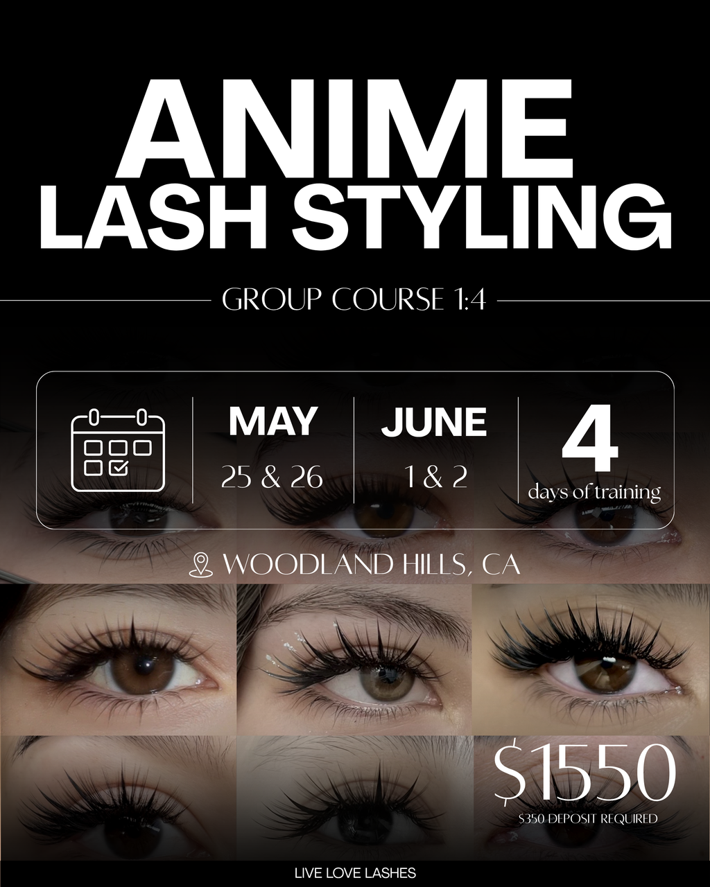 ANIME LASH STYLING COURSE