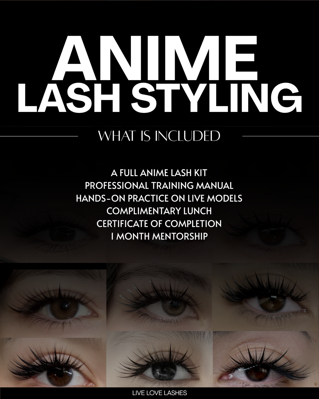 ANIME LASH STYLING COURSE