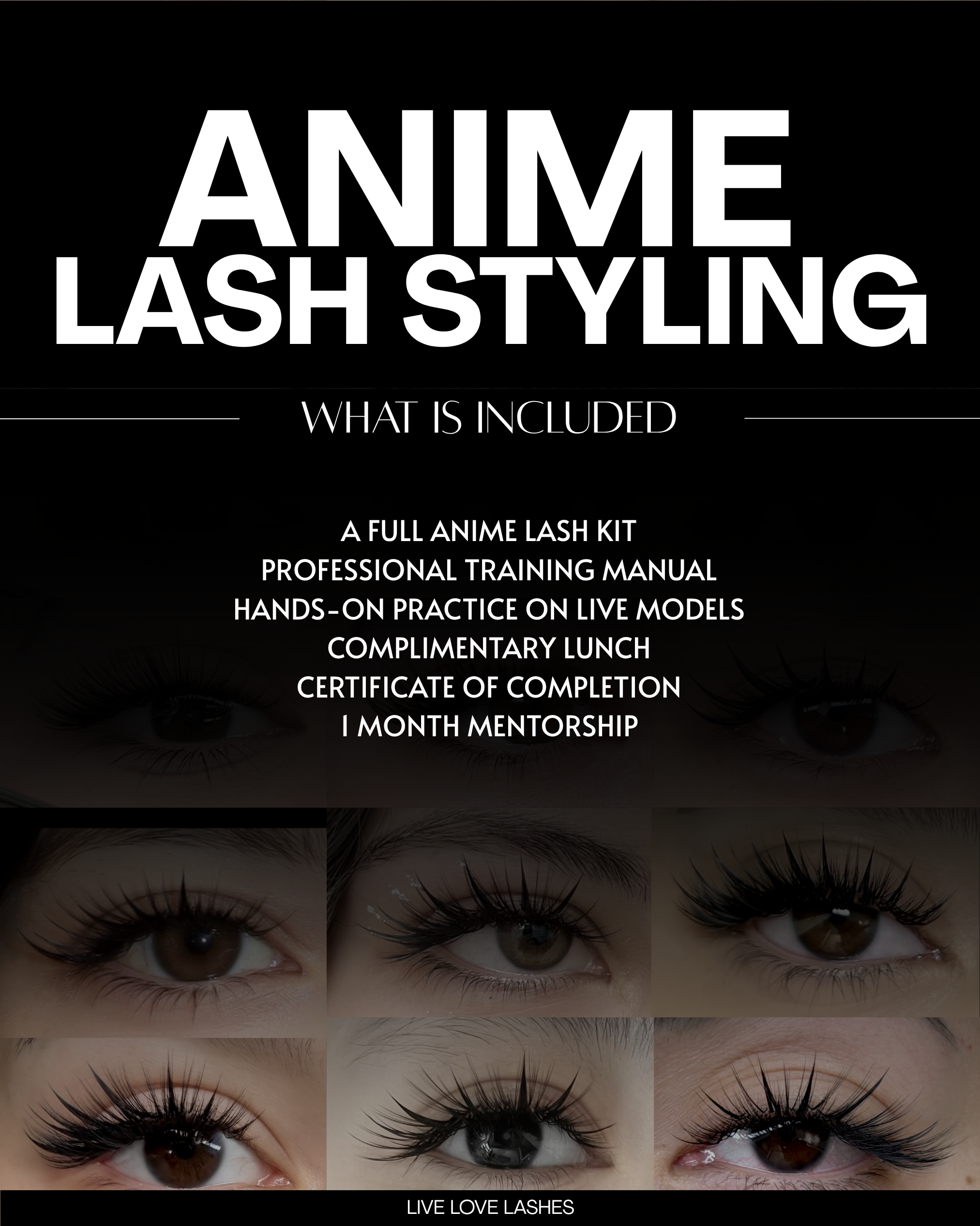 ANIME LASH STYLING COURSE